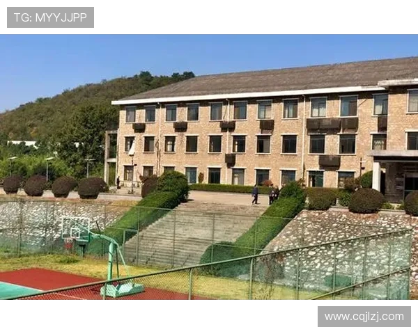 南京极限运动队成员个人能力深度对比与分析探讨 南京极限运动队成员个人能力深度对比与分析探讨