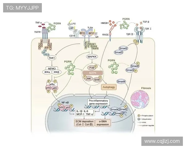 广州乒乓球队边路渗透革新策略与技术分析全景探讨 广州乒乓球队边路渗透革新策略与技术分析全景探讨