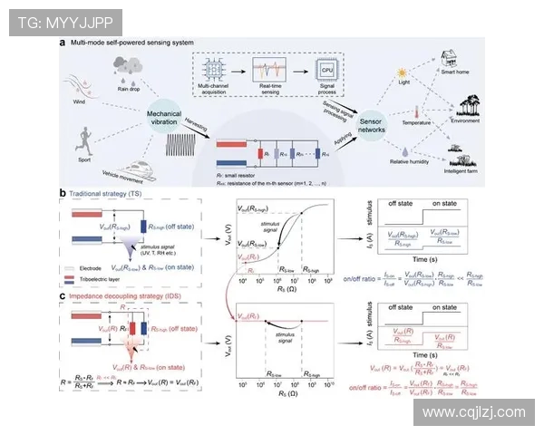 张秀英专访揭秘DOTA2成功背后的策略与团队精神