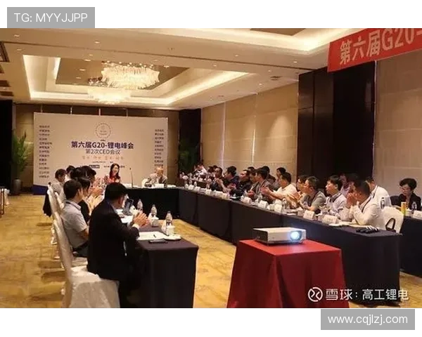 职业联赛分析：BLG在比赛中的持久耐力与团队协作表现探讨