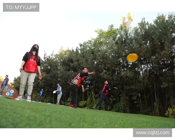 飞盘盛宴：深入探索上海飞盘队的战术与技巧之旅