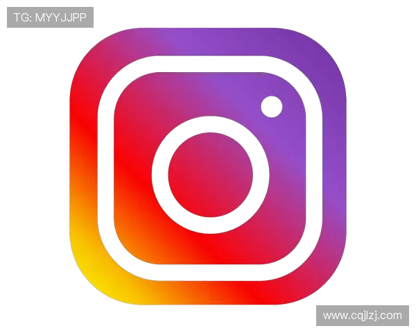 数据分析视角下的Instagram个人能力表现研究与评估