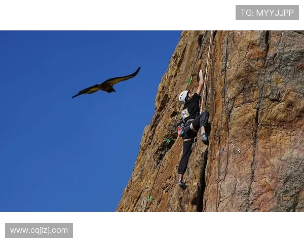 杭州攀岩队荣登攀岩战术排行榜第4名展现实力与团队精神